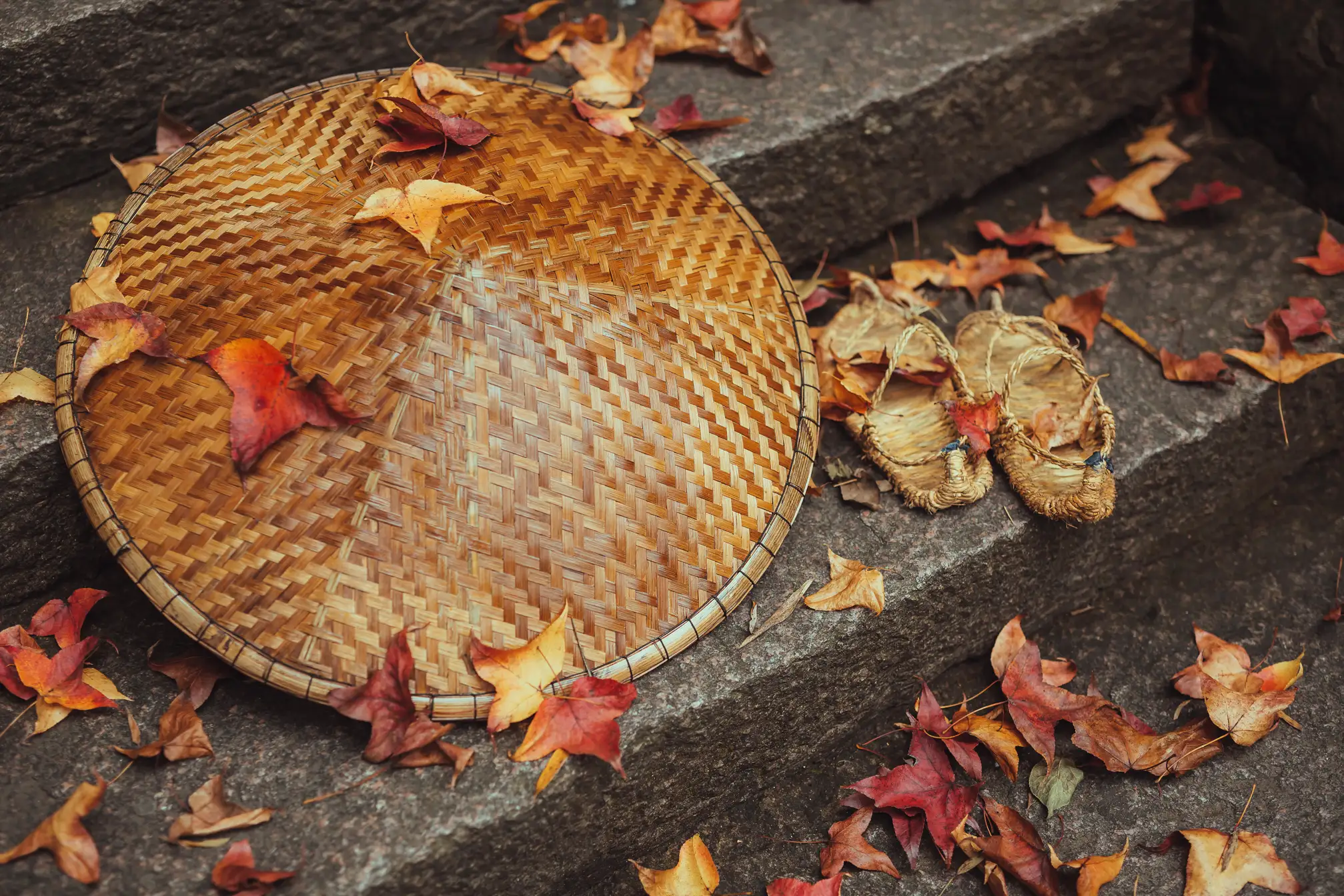 [YITUYU] 2021.09.29 Vol.327 – Tiantai Walking Meditation Five colored heather leaves#[32P]-25